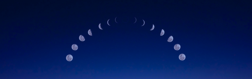 日本式ジャップカサイのイメージビジュアル3